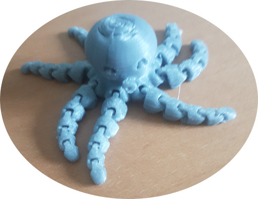 La photo du pouple imprimé en 3D